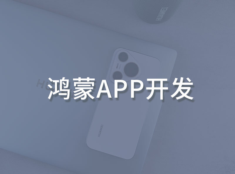 十余年技术沉淀，专业提供鸿蒙软件开发鸿蒙APP开发服务 - 抵奥云科技-软件开发新闻