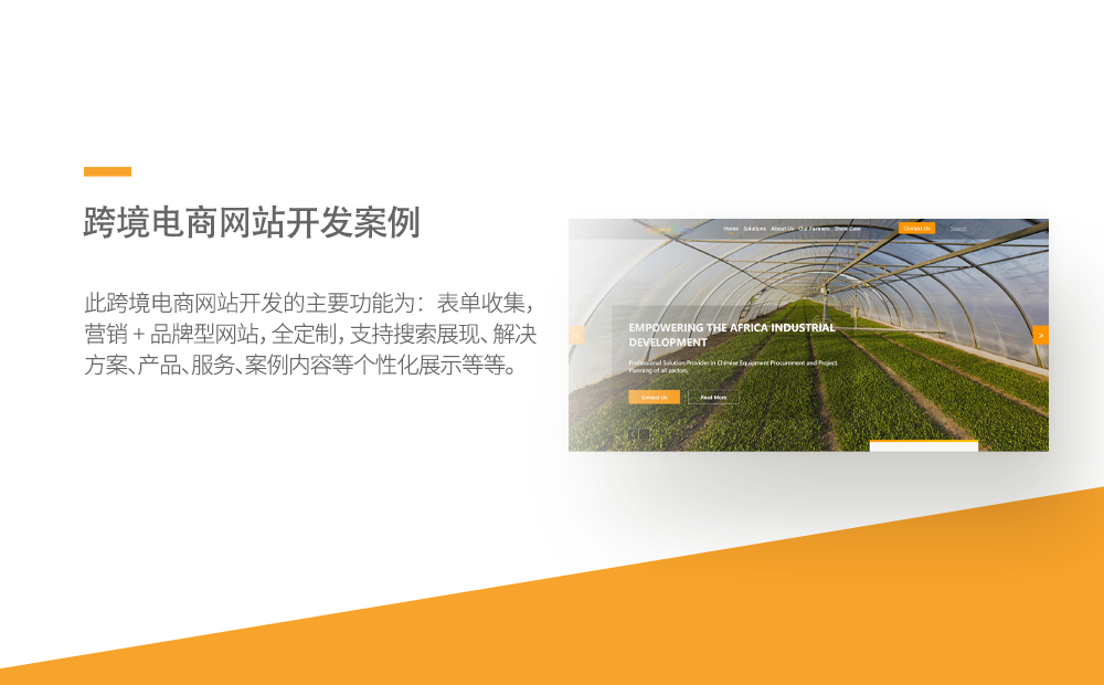 跨境电商网站定制开发案例-广州软件开发